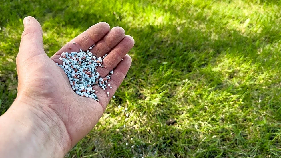 Quicker Than Using Your Hands: The Easy-To-Use Tool On Amazon For Spreading Seeds & Fertilizer