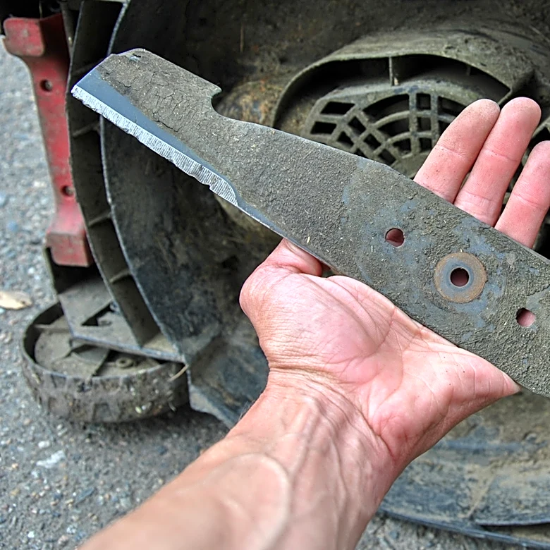 What's The Difference Between Bush Hog And Regular Lawn Mower Blades?