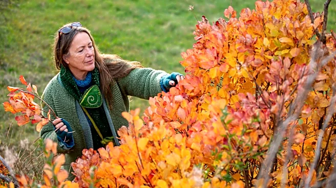 Embrace Autumn Beauty Year-Round With An Easy Leaf Craft Hack