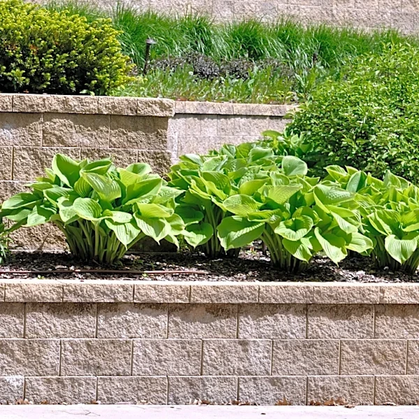 Build A Better-Looking Retaining Wall By Making One Easy Adjustment