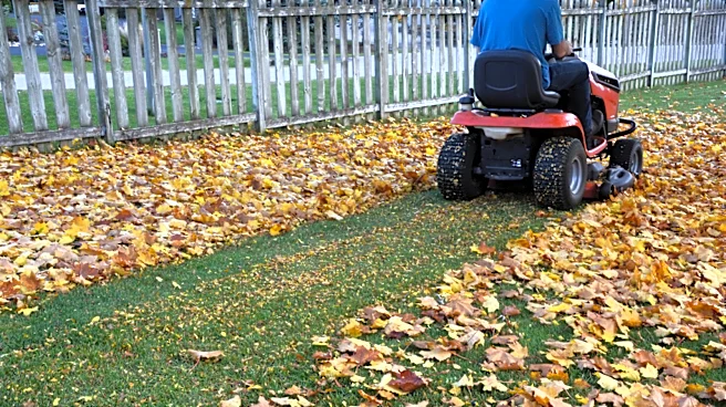 Not Your Lawn Mower: The Manual Way To Shred Leaves With A Garden Tool You Already Have