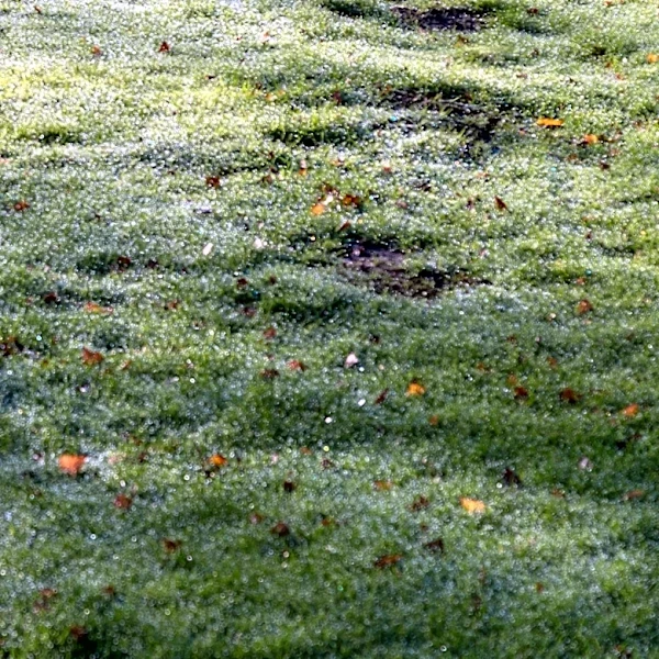 Smooth & Level A Bumpy Lawn Using Essentials From Your Nearest Home Depot