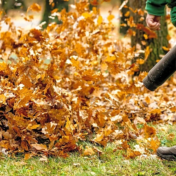 Retiring Your Old Leaf Blower? Ryobi Has A Brand New 2-In-1 Alternative At Home Depot