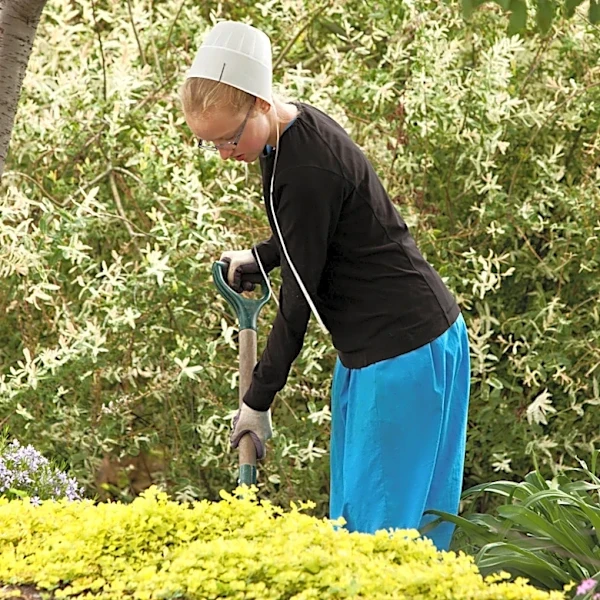 How Do The Amish Keep Weeds Out Of The Garden? (It's Not Landscape Fabric)