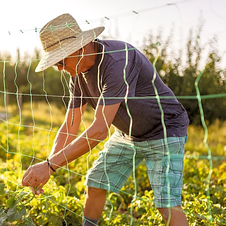 Gardener Transforms Cinder Blocks And String Into A Functional Trellis