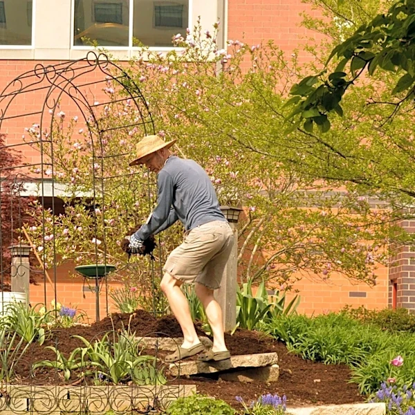 Not Shredded Mulch: The Long-Lasting Alternative For Landscapes