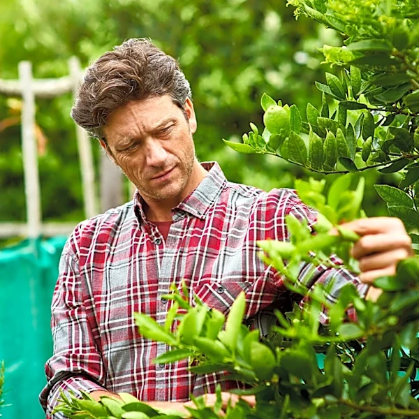 Protect Backyard And Garden Plants From Salt Damage With A Simple Solution