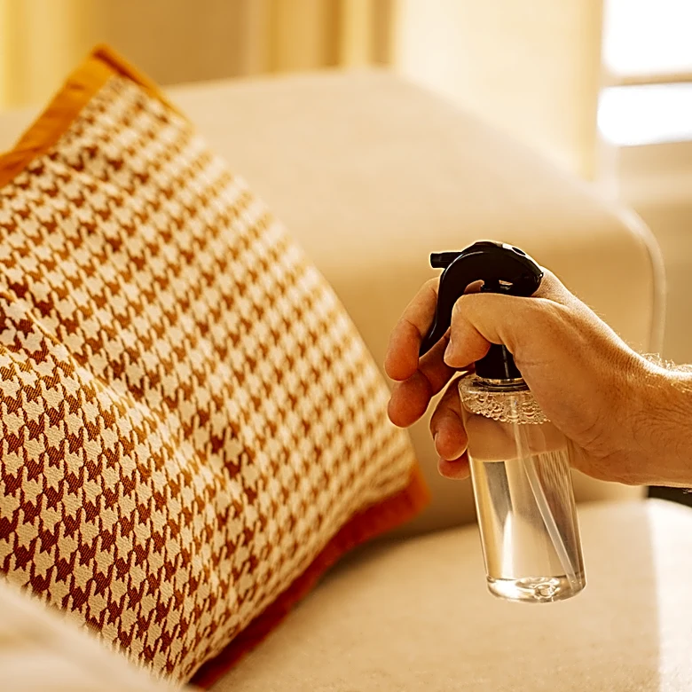 Spraying Your Couch With Vinegar: It May Sound Strange But It Works