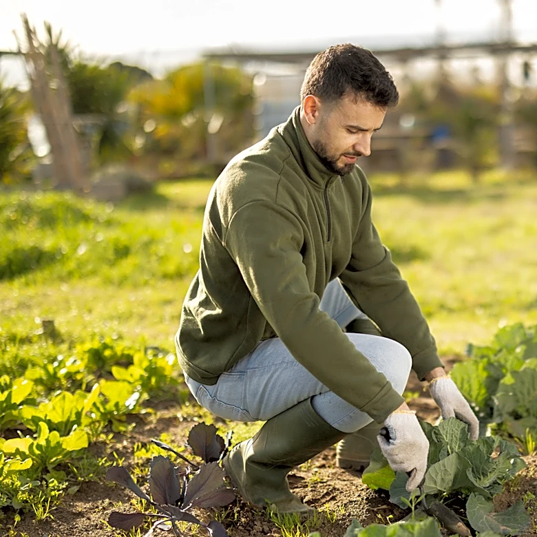 How To Reduce pH In Soil Naturally
