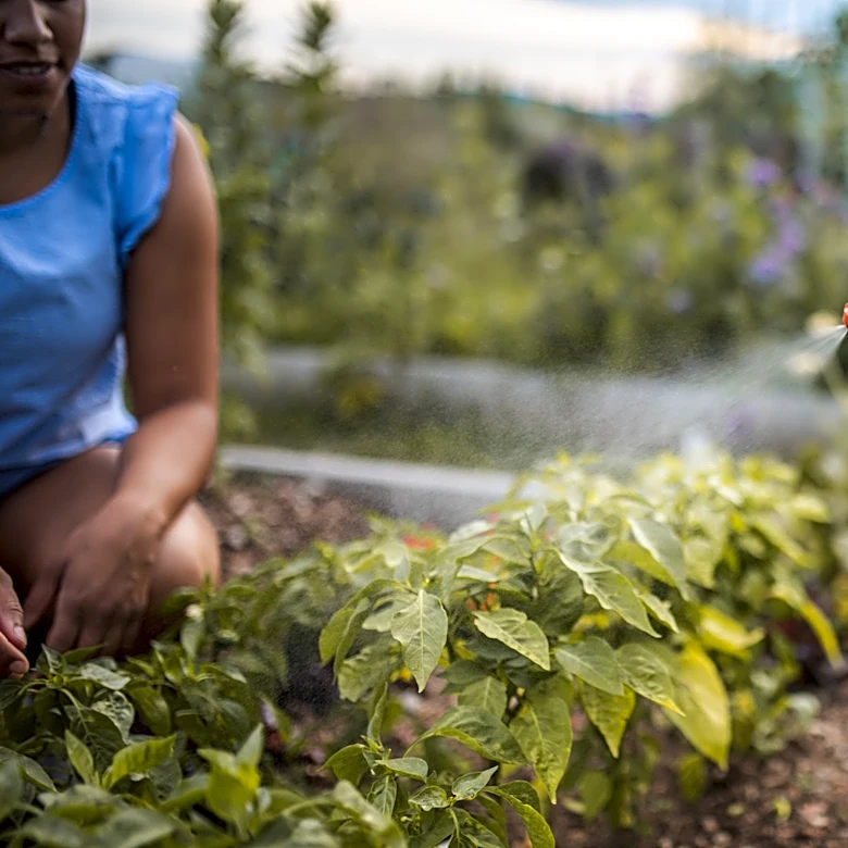 Bye, Toxic Pesticides — The Organic Solution That Removes Chewing Pests From Your Yard