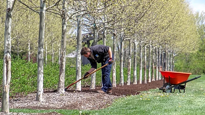 Move Over, Hardwood Mulch: The Long-Lasting Solution For Flower Beds