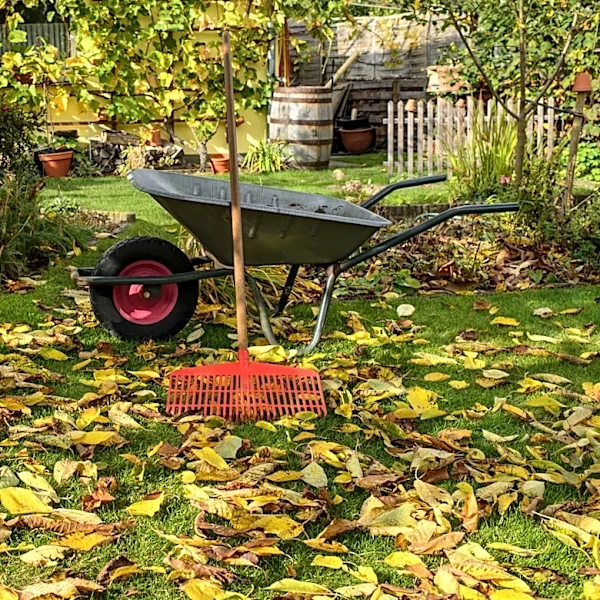 Make Cleaning Up Your Lawn A Breeze With A Helpful Solution From Home Depot
