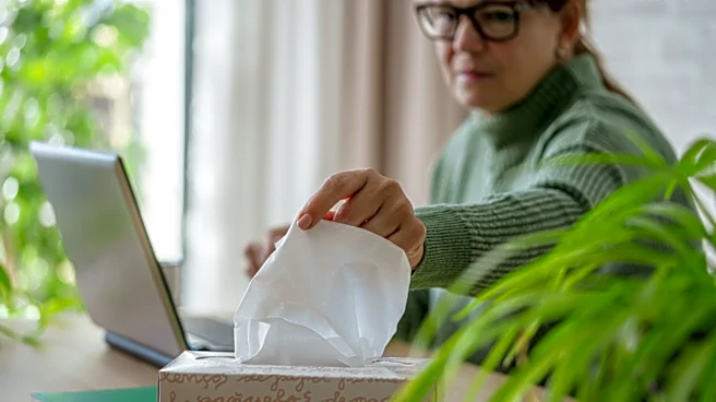 No More Basic Tissue Boxes: DIY A Coastal-Inspired Find With This Kitchen Trash