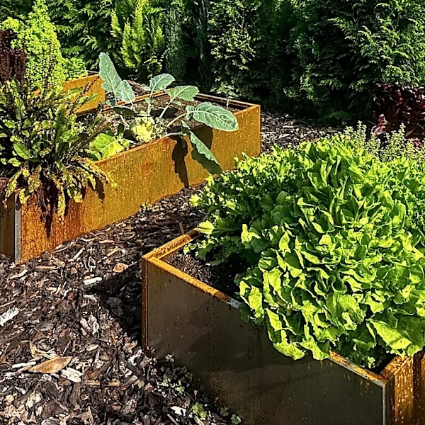 Stronger Than Standard Aluminum: The Long-Lasting Alternative For Garden Beds