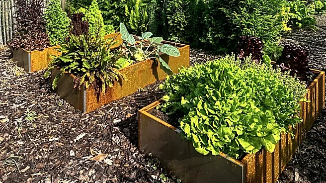 Stronger Than Standard Aluminum: The Long-Lasting Alternative For Garden Beds