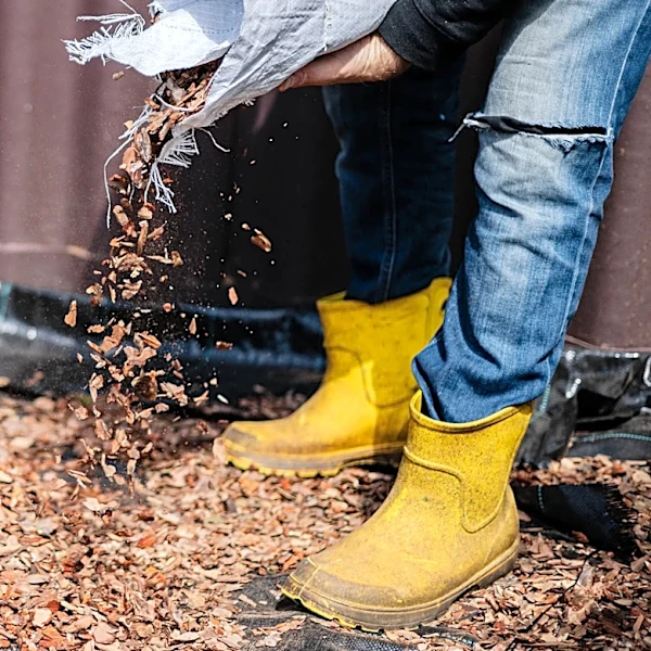 No Need To Harvest From The Backyard: The Easy Way To Get Free Wood Chip Mulch