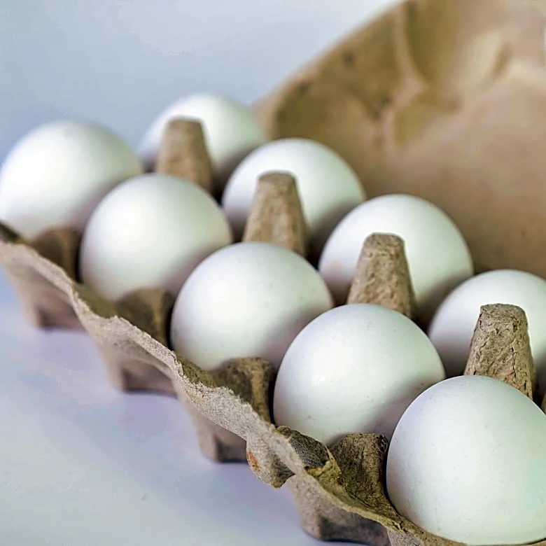 Keep An Old Egg Carton To DIY The Cutest, Rustic Rooster Decor For Your Patio