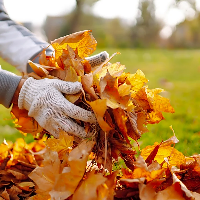 Turn Fallen Leaves Into A Creative Addition To Your Fall Floral Arrangements
