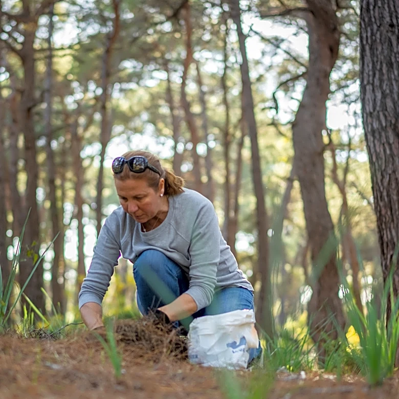 Gardener Transforms Old Pine Needles Into The Cutest Foraging Baskets With A Money-Saving DIY