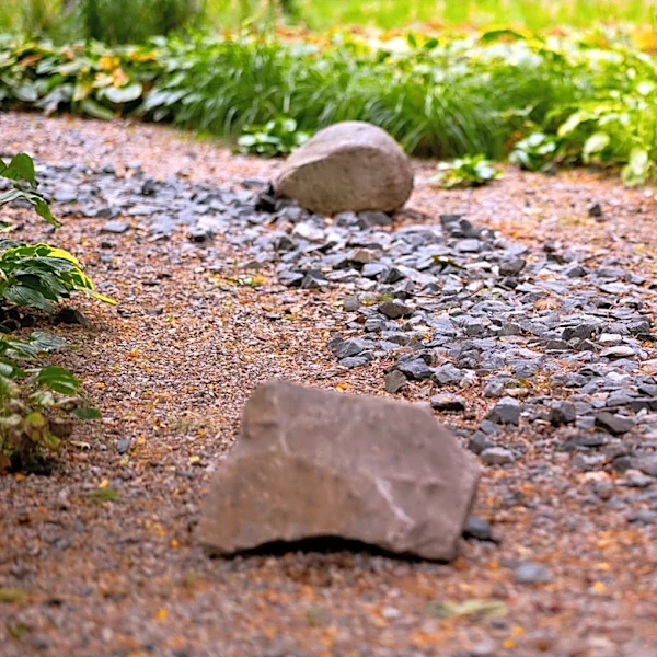 A Functional Rain Garden Depends On Where You Put It