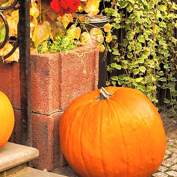 She Turns Oyster Shells Into The Most Stunning DIY Pumpkin Decor