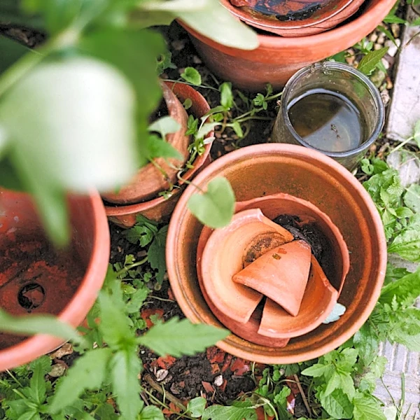 Don't Let Broken Terracotta Pots Go To Waste: Use Them For A DIY Walkway