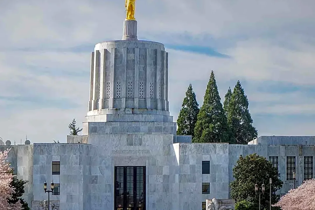 How Oregon Has Voted in Every Midterm Since 1990