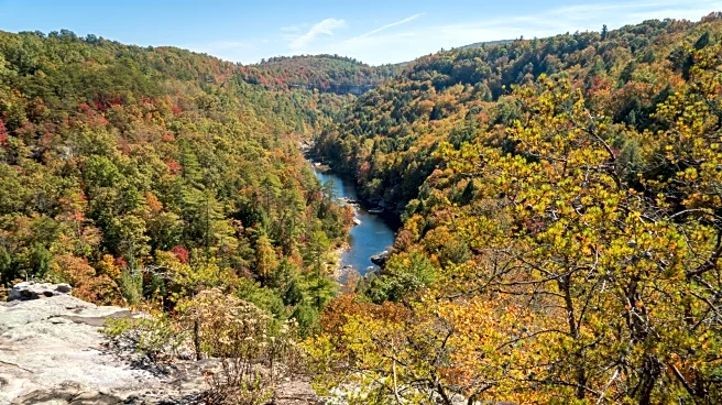 This Wild, Scenic River Running Through Tennessee Is An Outdoor Haven To Paddle, Fish, And Camp