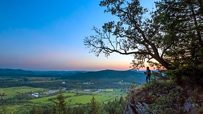 Just Outside Of Eugene Is One Of Oregon's Most Walkable Cities With Award-Winning Wines, Art, And Outdoor Fun