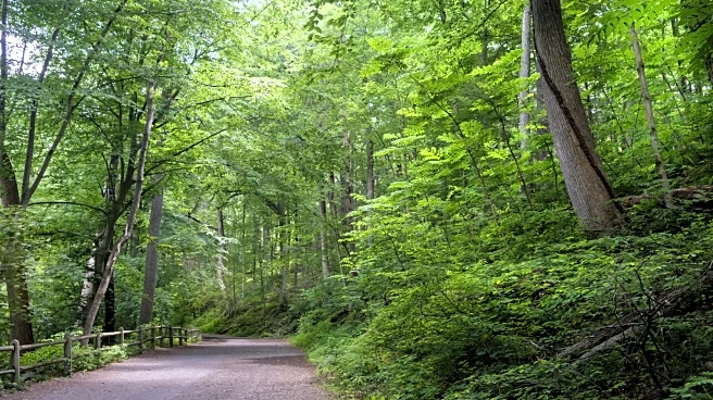 Philadelphia's Stunning Urban Park Features Epic Gorges, Lovely Forests, And Some Of Pennsylvania's Best Trails
