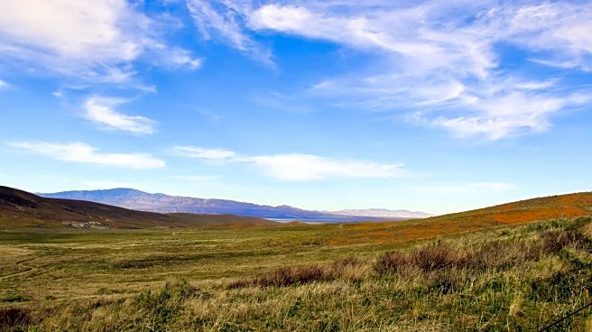 This California Neighborhood Is A High Desert Refuge With Blooming Hills And Family-Friendly Fun