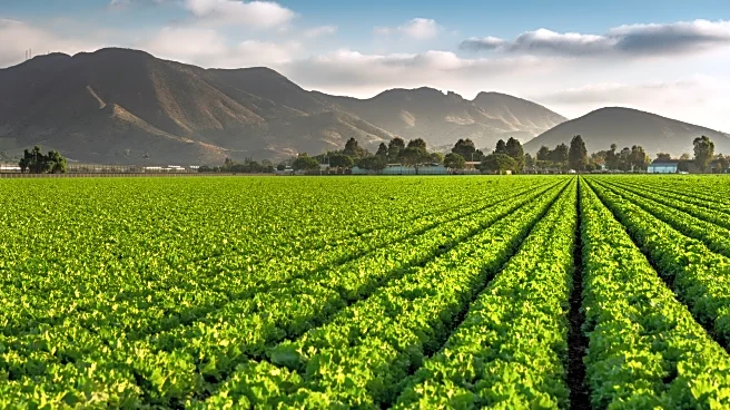 California's 'New Napa' Is An Underrated Wine Paradise Brimming With Charming Towns And Diverse Sips