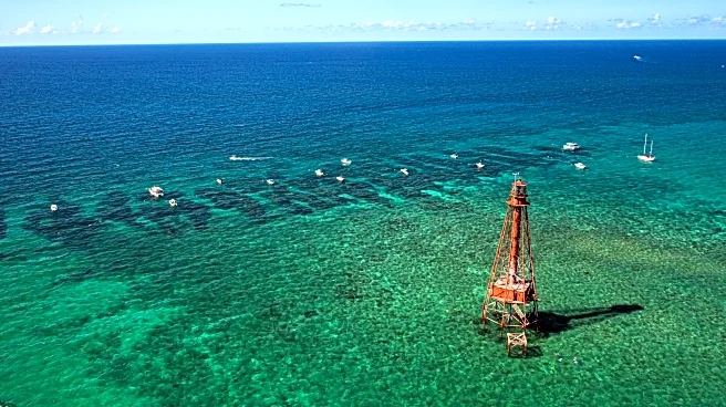 One Of Florida's Top Places To Snorkel Is A Rainbow Wonderland Off The Coast Of The Keys