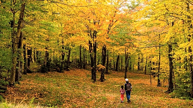 Canada's Picturesque Mountain Town Offers Four Seasons Of Hiking, Skiing, Ziplining, And Live Music