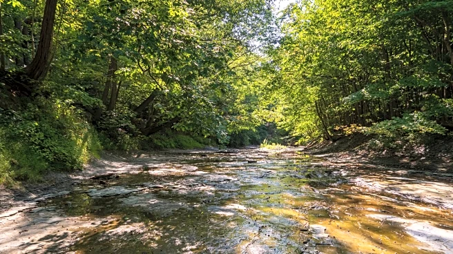 Nestled Just Outside Erie Is Pennsylvania's Charming Lakeside Suburb With Breezy Bluffs And Vineyard Views