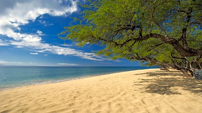 Hawaii's Breezy Park Hides Calm-Water Snorkeling In Maui With Lingering Sea Turtles And Camping Bliss