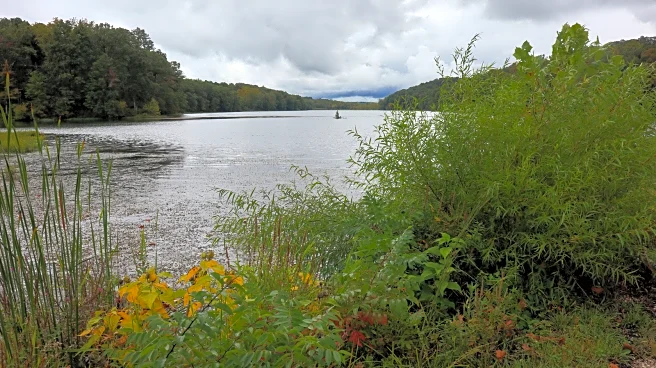 Indiana's Wildly Underrated Forest Right By Brown County State Park Offers The Beauty Minus The Crowds