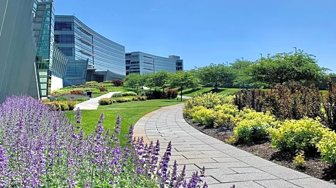 Just North Of Chicago Is Illinois' Inviting Suburb With Green Parks, Peaceful Trails, And Local Shopping Gems