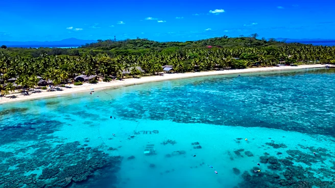 Fiji's Human-Made Reef Of Heat-Adapted 'Super Corals' Is An Astonishing Wonder You Can Snorkel