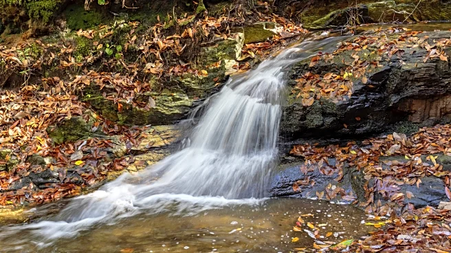 Georgia's Largest State Park Is A Mountainous Family Gem With Waterfalls, Cute Cottages, And Lake Recreation