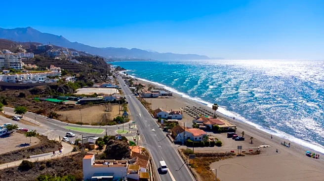 Spain's Wildly Popular Swim Beach Near Malaga Is A Picturesque Getaway With Several Dog Lifeguards