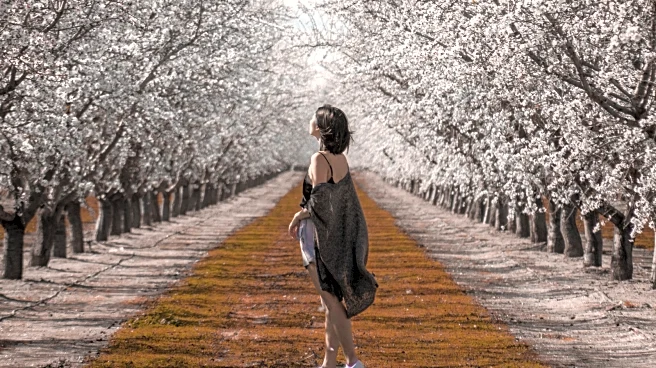The 'Almond Capital Of The World' Is A California Gem With Festivals, Family-Friendly Charm, And Outdoor Fun