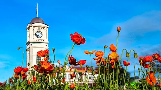 'New Zealand's Most Beautiful Town' Has Friendly Faces, Friday Markets, And Big Retirement Appeal