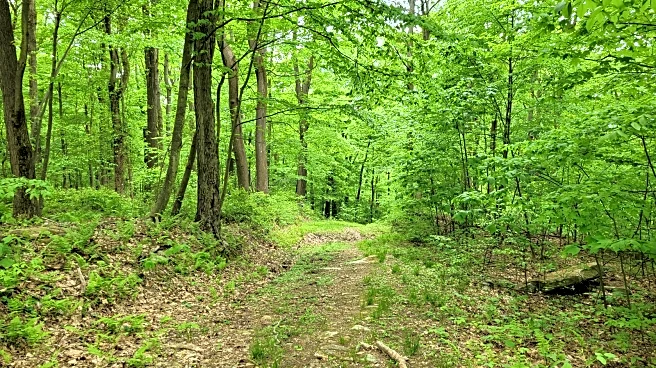 Nestled In Pennsylvania's Highlands Is A Beautiful State Park With Cozy Cabins, Waterfalls, And Trails