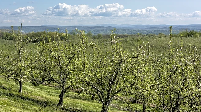 Between New York City And Albany Is A Scenic Farm Town Boasting Orchard Views, Wineries, And Hiking Trails