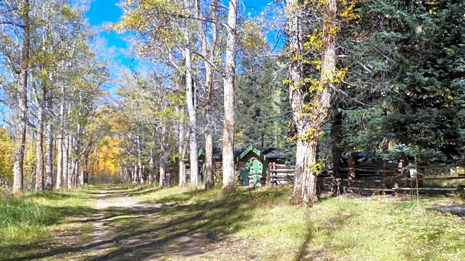 Colorado's Once-Bustling Mine Town Is Now An Abandoned Village Tucked Into A Scenic Creek Canyon