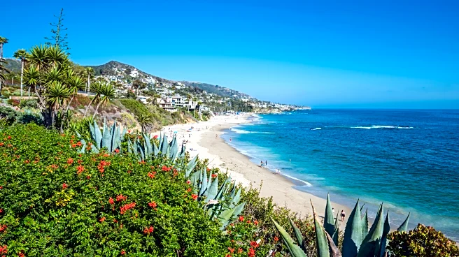 Between Long Beach And San Diego Is California's Serene City With Whale-Watching, Beaches, And Beauty