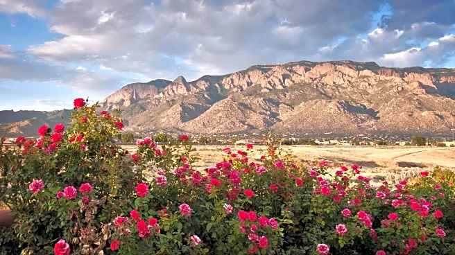 Albuquerque's High-Elevation Neighborhood Offers Desert Landscapes, New Mexico City Lights, And Scenic Trails