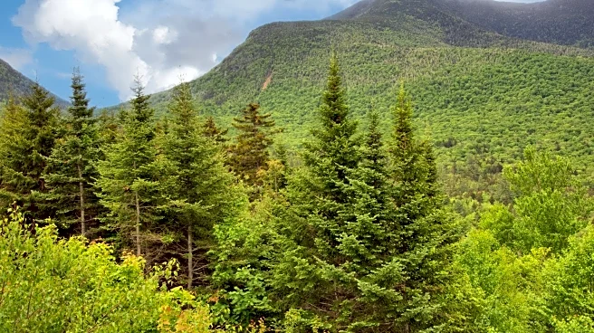An Underrated Botanical State Park In New Hampshire Is A Picturesque Garden Paradise Of Vibrant Pathways