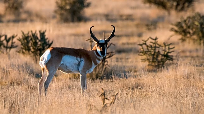 Oklahoma's Panhandle State Park Features The State's Highest Point Perfect To Stargaze, Hike, And View Wildlife
